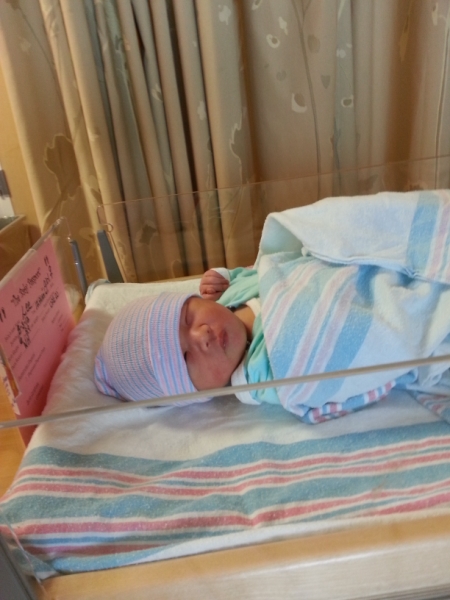 20120803_172220 [800x600].jpg